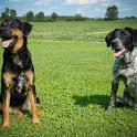 2014 Gaia e Oliva 6ago2014 (6)