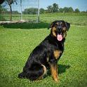 2014 Gaia e Oliva 6ago2014 (7)