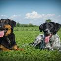 2014 Gaia e Oliva 6ago2014 (8)