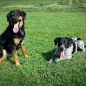2014 Gaia e Oliva 6ago2014
