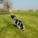 2014 Gaia in campagna 7mar2014 (3)