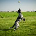 2014 Gaia in campagna 7mar2014 (4)