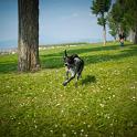 2014 Gaia sul Lago di Garda 21mag2014 (11)