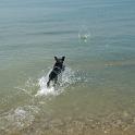 2014 Gaia sul Lago di Garda 21mag2014 (5)
