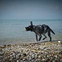 2014 Gaia sul Lago di Garda 21mag2014 (7)
