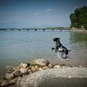 2014 Gaia sul Lago di Garda 21mag2014 (9)