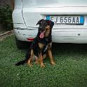 2014 Oliva 22giu2014 (4)