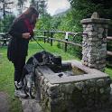2014 Sclemo-Stenico-Molveno-Ponte Arche 18ago2014 (12)