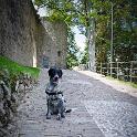 2014 Sclemo-Stenico-Molveno-Ponte Arche 18ago2014 (21)
