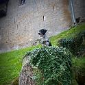 2014 Sclemo-Stenico-Molveno-Ponte Arche 18ago2014 (23)