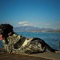 2015 Gaia Peschiera del Garda 3mar2015 (1)