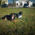 2015 Gaia e Oliva 30dic2015