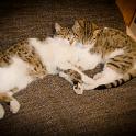 2015 Luna e Mimì 26mar2015 (3)