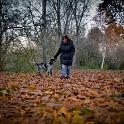 2015 Passeggiata sul Lago Superiore 27nov2015