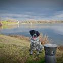 2016 Lago inferiore 17feb2016 (9)