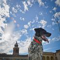 2016 Per le vie di Mantova 15giu2016 (16)