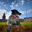 2016 Per le vie di Mantova 15giu2016 (19)