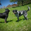 2016 Trodena 15-16-17lug2016 (117)