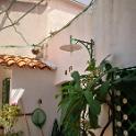 2020 Sicilia 28 ago-9 set 2020 (36) 900x1200
