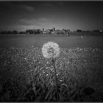 2009 Mantova prove Nikon P90-17apr09 bn (8)