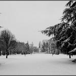2012 Mantova neve e ghiaccio - 7feb2012 bn (17)