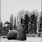 2012 Mantova neve e ghiaccio - 7feb2012 bn (19)