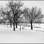 2012 Mantova neve e ghiaccio - 7feb2012 bn (24)