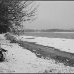 2012 Mantova neve e ghiaccio - 7feb2012 bn (25)