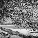 2012 Mantova neve e ghiaccio - 7feb2012 bn (26)