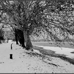 2012 Mantova neve e ghiaccio - 7feb2012 bn (27)