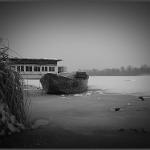2012 Mantova neve e ghiaccio - 7feb2012 bn (32)