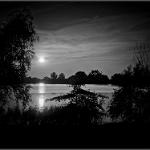2014 Mantova  Lago Superiore 4ago2014 bn