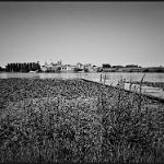 2016 Mantova Campo Canoa 4ago2016 (19bn)