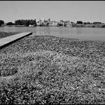 2016 Mantova Campo Canoa 4ago2016 (1bn)