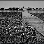 2016 Mantova Campo Canoa 4ago2016 (21)