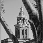 2016 Mantova varie 13lug2016 (2bn)
