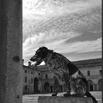 2016 Per le vie di Mantova 15giu2016 (52)bn