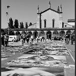 2018 Fiera delle Grazie 17ago18 (14)bn