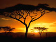 Kenya 2005