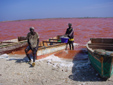 Senegal 2002