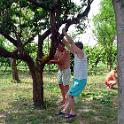 2003 Campagna013-8giu03