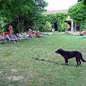 2003 Campagna017-8giu03