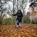 2015 Passeggiata sul Lago Superiore 27nov2015 (38)