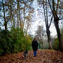 2015 Passeggiata sul Lago Superiore 27nov2015 (49)